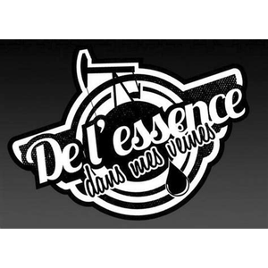 Delessencedansmesveines.com